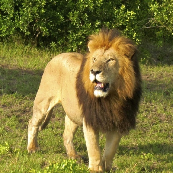 Meet your Posher - Picture 1 of 1